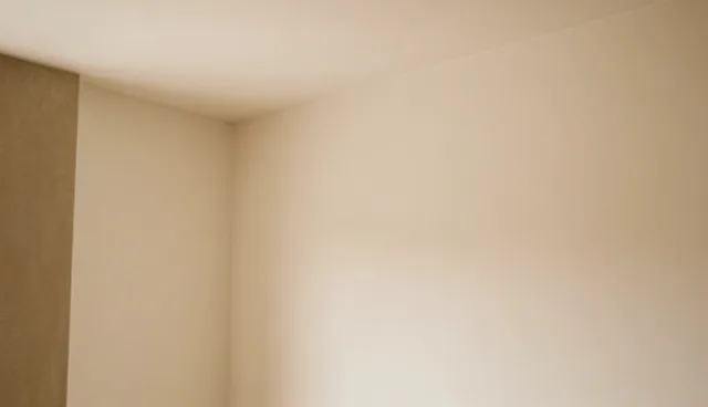 代理记账服务中两种操作规范的比较与取舍
